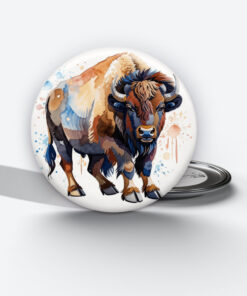 Alternative view of Prairie Spirit