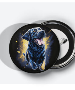 Paws And Play paws and play 1