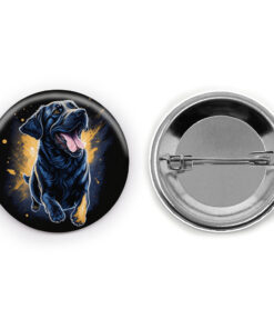 Paws And Play paws and play 2