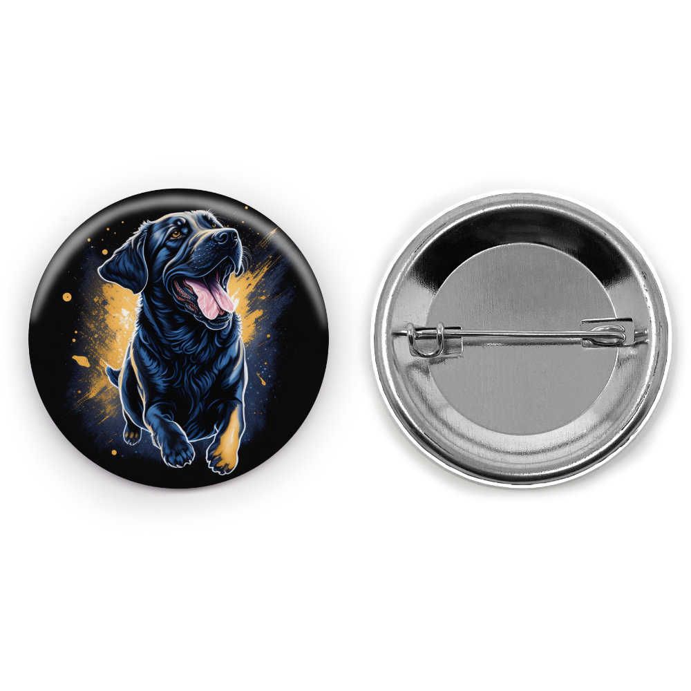 Paws And Play Paws And Play - Image 3